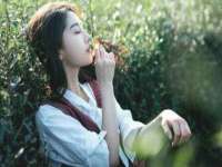 淮安风之帆网络科技有限公司