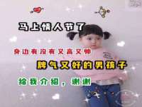 淮安风之帆网络科技有限公司