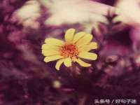 淮安风之帆网络科技有限公司