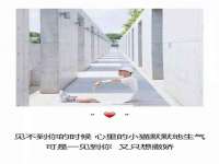 淮安风之帆网络科技有限公司