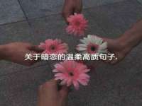 淮安风之帆网络科技有限公司