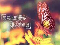 淮安风之帆网络科技有限公司