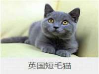 淮安风之帆网络科技有限公司