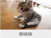 淮安风之帆网络科技有限公司