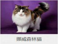 淮安风之帆网络科技有限公司