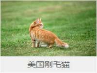 淮安风之帆网络科技有限公司