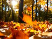 淮安风之帆网络科技有限公司