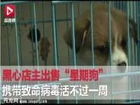 淮安风之帆网络科技有限公司