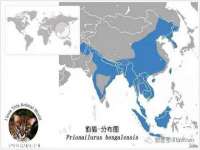 淮安风之帆网络科技有限公司