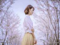 淮安风之帆网络科技有限公司
