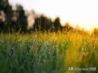 淮安风之帆网络科技有限公司