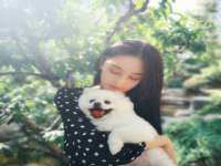 淮安风之帆网络科技有限公司