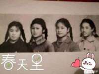 淮安风之帆网络科技有限公司