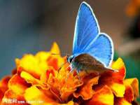 淮安风之帆网络科技有限公司