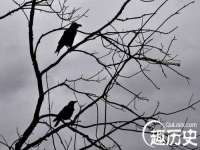 淮安风之帆网络科技有限公司