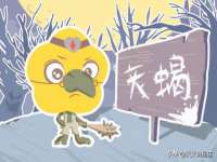 淮安风之帆网络科技有限公司