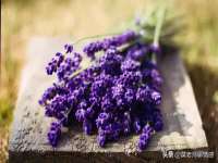 淮安风之帆网络科技有限公司
