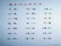 淮安风之帆网络科技有限公司